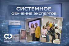 СИСТЕМНОЕ обучение экспертов